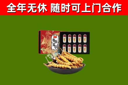 罗平县回收冬虫夏草价格